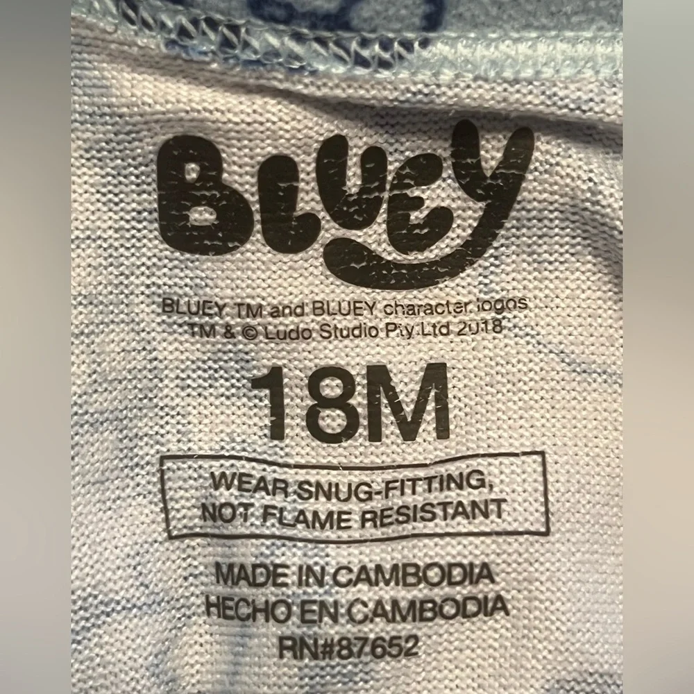 NWOT Bluey Pajama Set